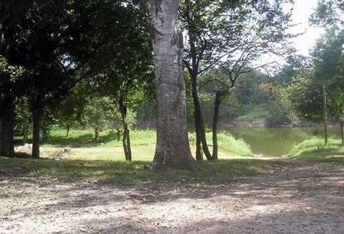 Colorado River Rv Campground Columbus Ngoại thất bức ảnh